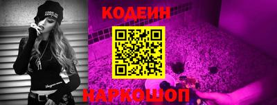 индика Будённовск